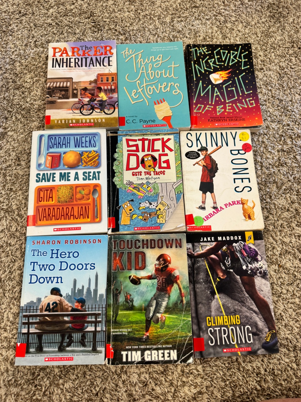 Scholastic Kids Book Lot - Multicolor Covers (blue, red, teal, black, white)